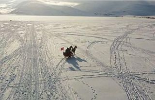 Çıldır Gölü’nde atlı kızak heyecanı başladı