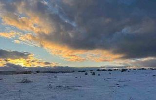 Çimsa, şehitlik için 80 yıllık rezervden feragat...