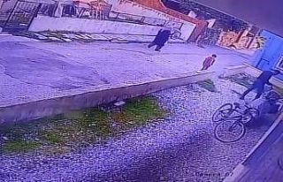 Çocukların gözü önünde köpeği katletti