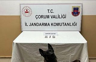 Çorum’da uyuşturucu hapla yakalanan 3 kişi gözaltına...