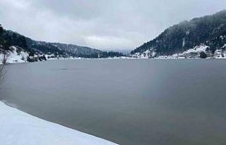 Çubuk gölü buz tuttu