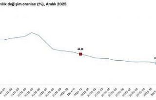 Cumhurbaşkanı Yardımcısı Yılmaz: "Koordineli...