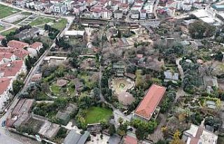 Darıca Hayvanat Bahçesi kapandı, hayvanlar farklı...