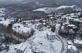 Demirköy’de kartpostallık kış manzarası