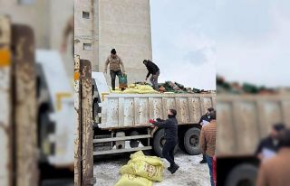 Demirözü’nde 210 çiftçiye tarımsal destek sağlandı