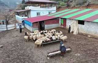 Depremzede besici devlet desteğiyle hayata tutundu