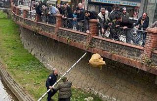 Dere yatağında mahsur kalan köpek itfaiye ve vatandaşın...