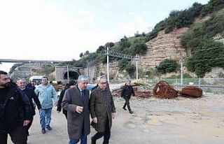 Dilovası’nda Diliskelesi Sahil Projesi için çalışmalar...