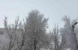 Diyadin’de yoğun sis etkili oldu