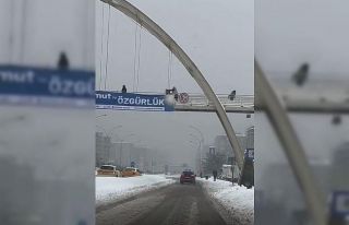 Diyarbakır’da çocukları darp eden şahıs gözaltına...