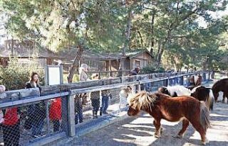 Doğal Yaşam Parkı’nda çocuklara hayvan ve doğa...