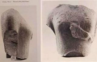 Doğaseverler Yılancıburnu’nun önemine dikkat...