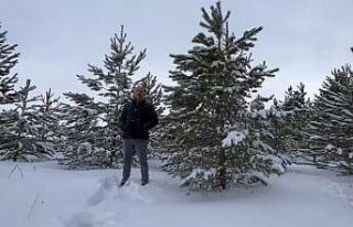 Dondurucu soğuğa aldırış etmeden akarsuya girdi