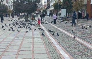 Edirne’de dondurucu soğuk: Edirneliler evde, Bulgarlar...