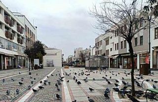 Edirne’de kar gitti, ayaz geldi: Pandemi günlerini...