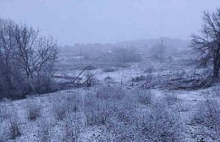 Edirne’nin Hamzabeyli köyünde kar yağışı başladı