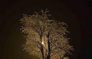 Elazığ’da ağaçlar kırağı tuttu