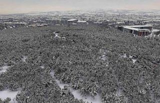 Elazığ’da beton yığınlarının arasındaki...