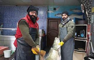 Elazığ’da yakalanan 78 kilogram ağırlığındaki...