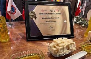 Erdek Kapıdağ Zeytinyağı’ndan markalaşmada...