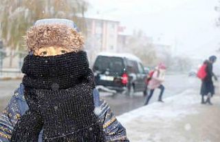 Erzincan güne karla uyandı