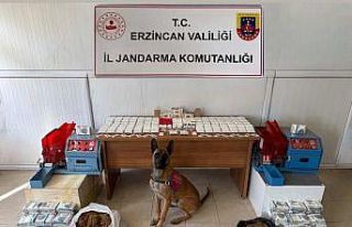 Erzincan İl Jandarma Komutanlığı’nın 2025 yılı...