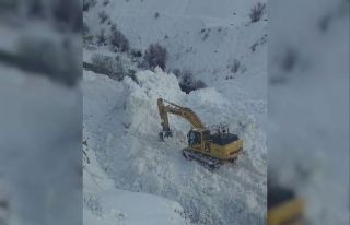 Erzincan’da köy yoluna çığ geldi