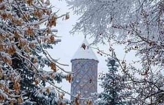 Erzurum’da buzlanma ve dona dikkat