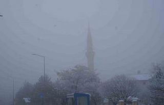 Erzurum’da sis ulaşımı aksattı