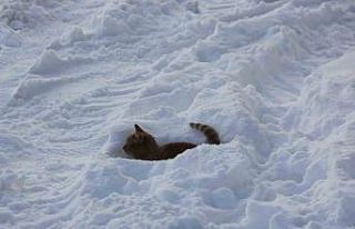 Eski kışlar geri geldi, Kızılırmak’ın yüzeyi...