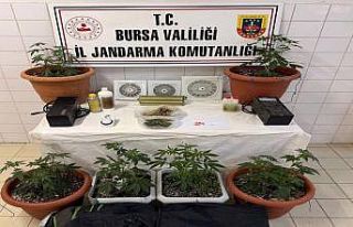 Evine klima takıp uyuşturucu imalathanesine çevirdi