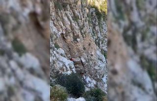 Fethiye’de kayalıklarda mahsur kalan keçi kurtarıldı