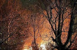 Filyos’ta ağaçlık alanda çıkan yangın korkuttu