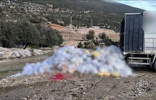 Finike’de dere kenarına kamyonla atık dökme olayına...