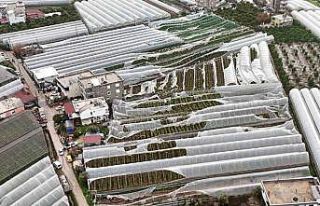 Finike’de hortumdan zarar gören seralarda hasar...