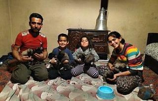 Fırtına sonrası devrilen ağaçların altında...