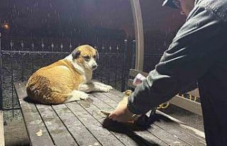 Gazetecilerden duyarlı davranış