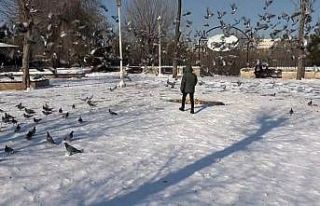 Gaziantep’te vatandaşlar kar ve güneşin tadını...