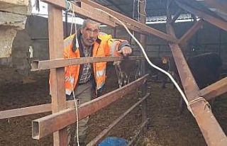 Gaziantep’te yoğun kar yağışı sonrası ahırın...