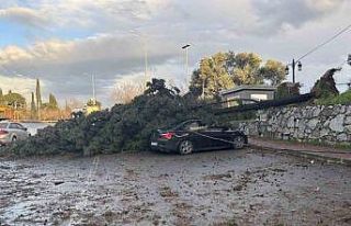 Gebze’de fırtınada iki otomobilin üzerine ağaç...