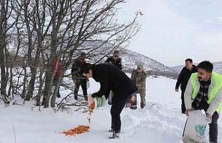 Genç’te yaban hayvanları için doğaya yem bırakıldı