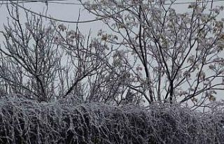 Gercüş beyaz örtüyle kaplandı