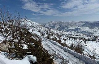 Gercüş’te 58 köy yolu ulaşıma açıldı