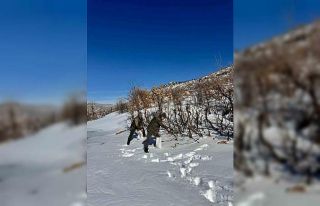 Gercüş’te orman ekibi doğadaki canlıları yalnız...