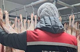 Gıda satışı yapan işletmeler denetlendi