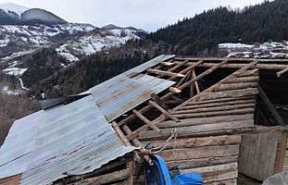 Giresun’da fırtınada bazı seralar ve yayla evleri...