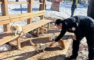 Gölbaşı ilçesinde polisler sokak hayvanları için...