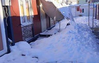 Gölgelikler kar ağırlığına dayanamadı