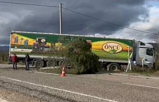 Gönen-Bandırma yolunda kontrolden çıkan tır şarampole...