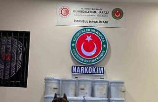 Gümrükler Muhafaza ekiplerince düzenlenen operasyonlarda...